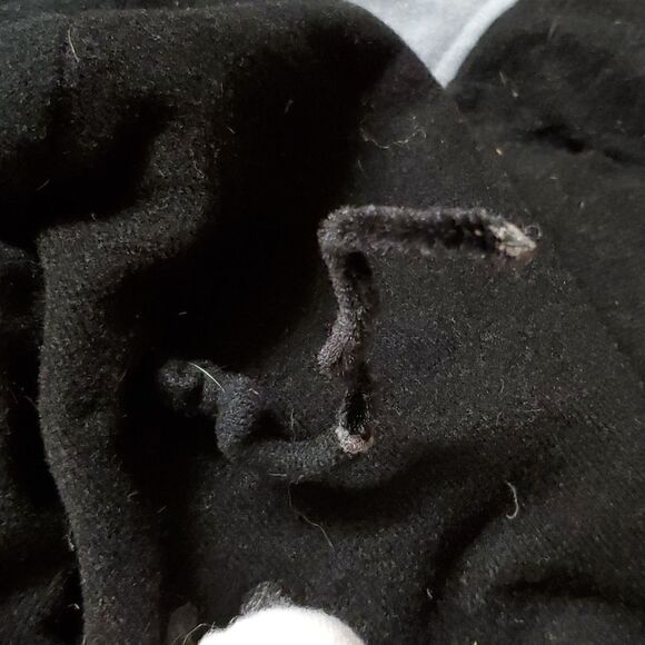 Halloween spider costume for a large dog - Picture 9 of 9